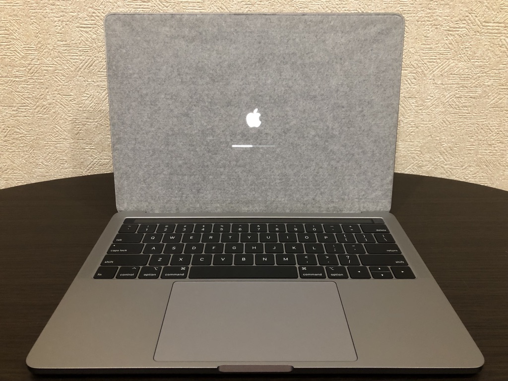 MacBookPro Retina 13 2018 TouchBar/Win10